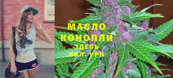 МДПВ Елабуга