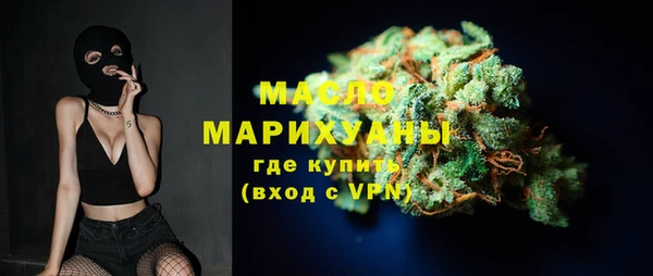 винт Ельня