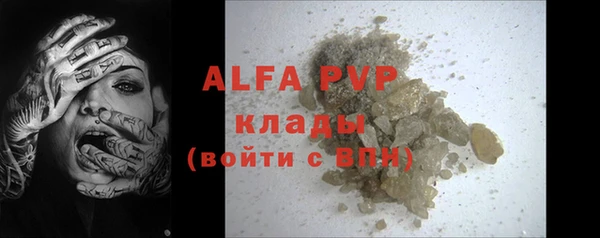 прущие грибы Заволжье