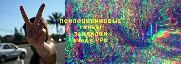 МДПВ Елабуга