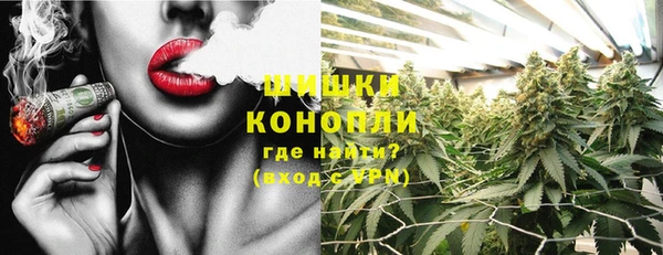 МДПВ Елабуга